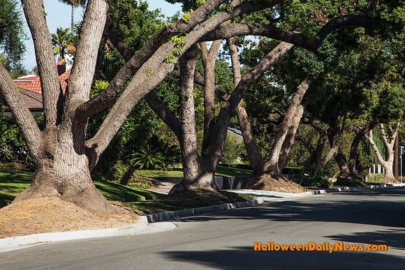 The Sidewalk from 'Halloween'
