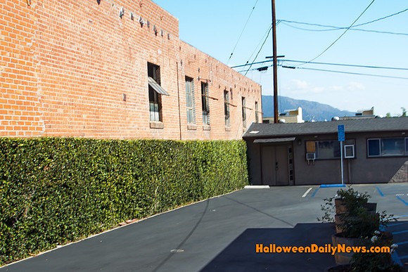 Alley from 'Silent Night, Deadly Night Part 2'